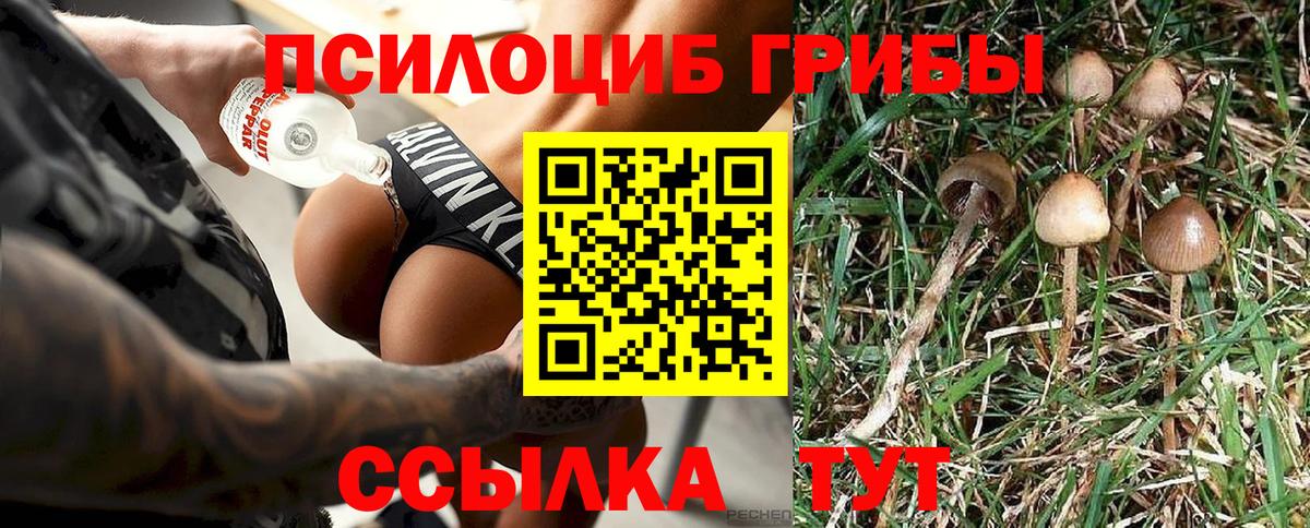 Галлюциногенные грибы мицелий Качканар
